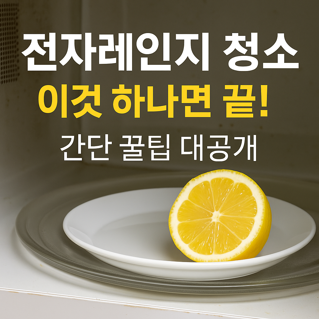전자레인지 청소, 이것 하나면 끝!