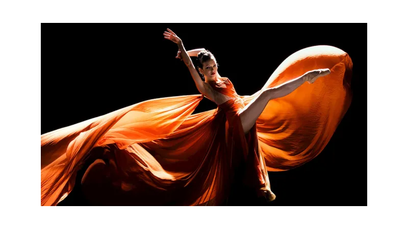 민속에서 클래식으로: 헝가리 무곡과 슬라브 무곡에서 음악적 변용 작곡사 역사 정리_4