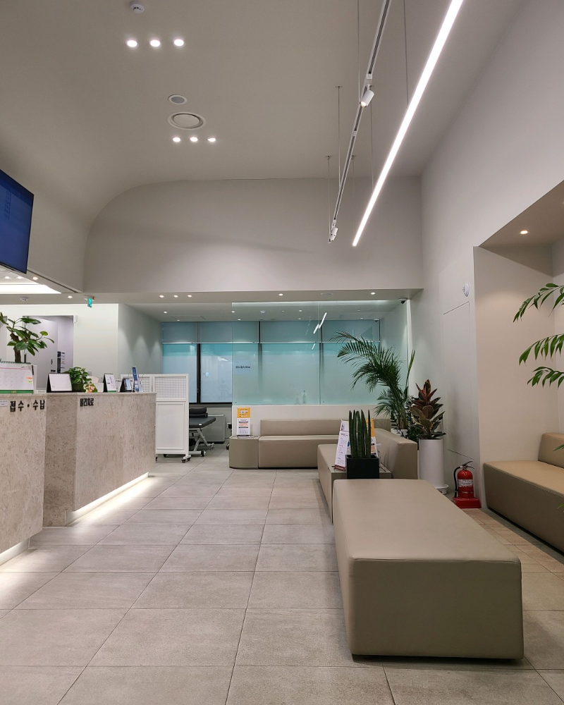 서초구 양재2동 정형외과 유명하고 잘하는 곳 추천 TOP 5