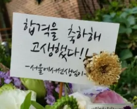 대학 합격 축하 메시지 문구 모음 100개