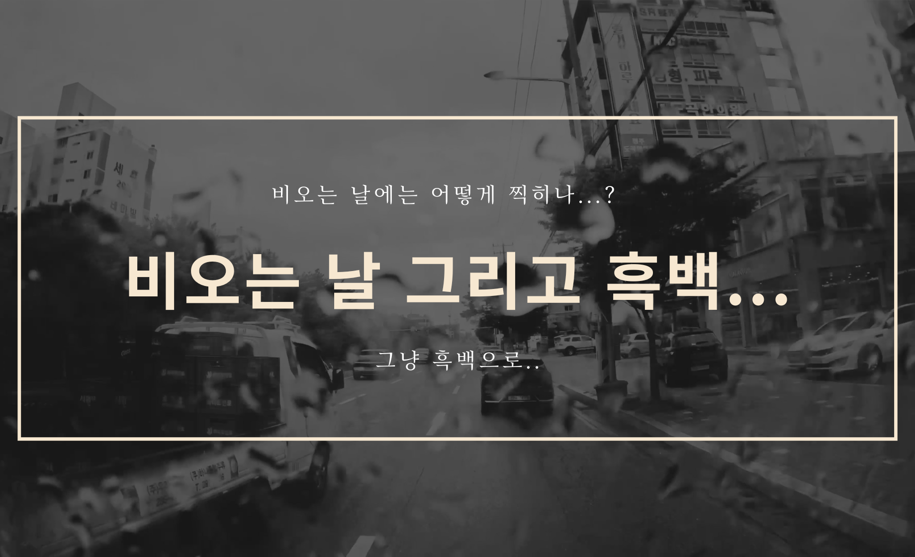 비오는 날 그리고 흑백...