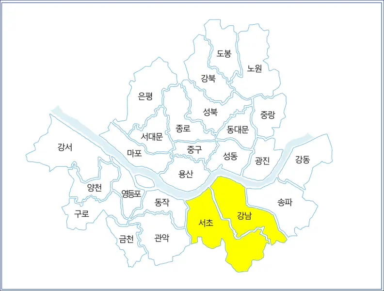 서울시 휴일 병원 리스트 - 서초구,강남구