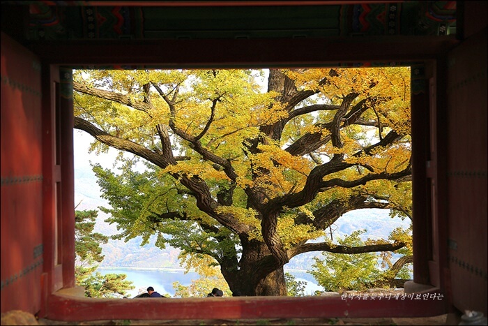 2025 경기도 단풍 트레킹 BEST 7 : 가을 하이킹 완벽 가이드_남양주 운길산 수종사