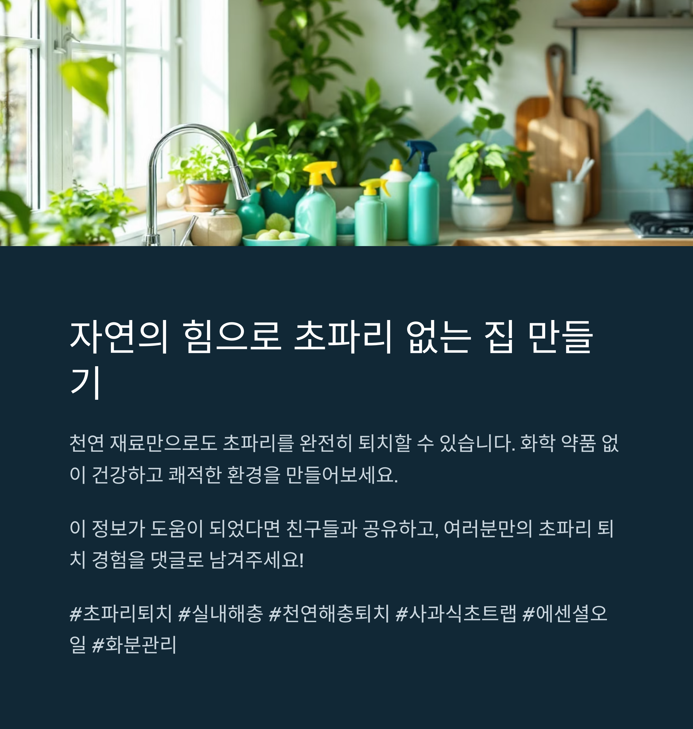 자연의 힘으로 초파리 없는 집 만들기