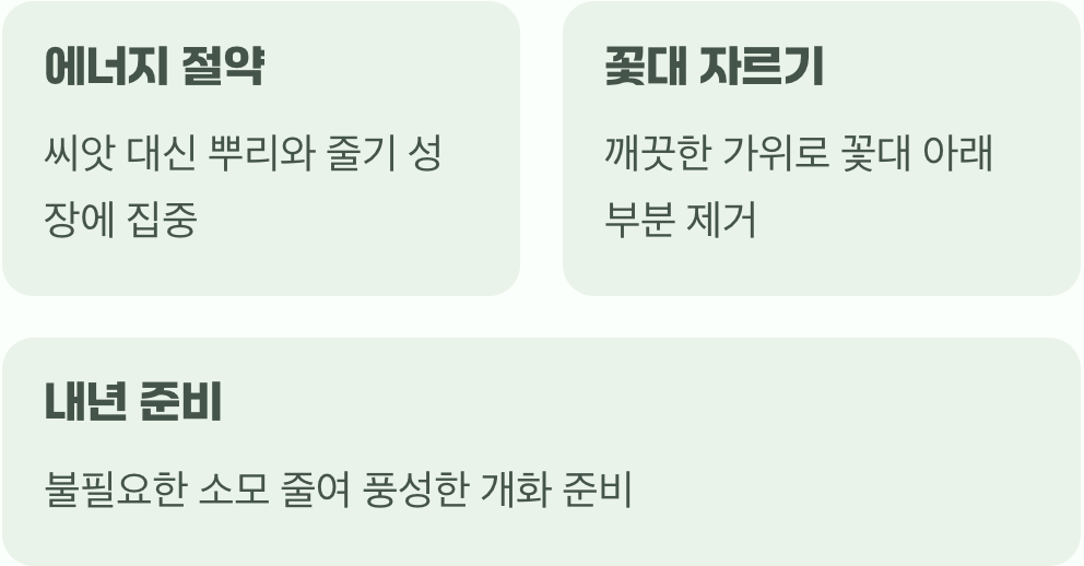 첫 번째 과제&amp;#44; 시든 꽃은 미련 없이 안녕