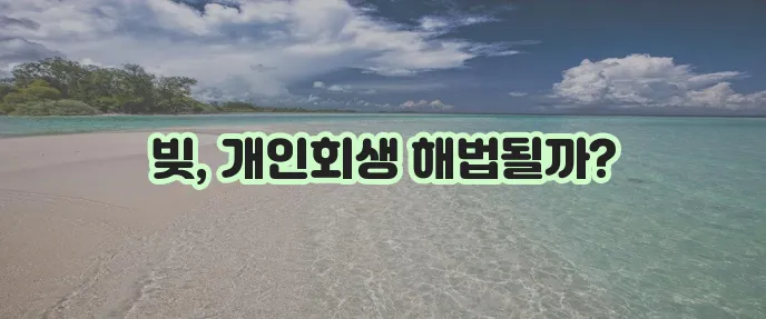 마이너스 통장 신용회복의 길잡이 - 개인회생 활용
