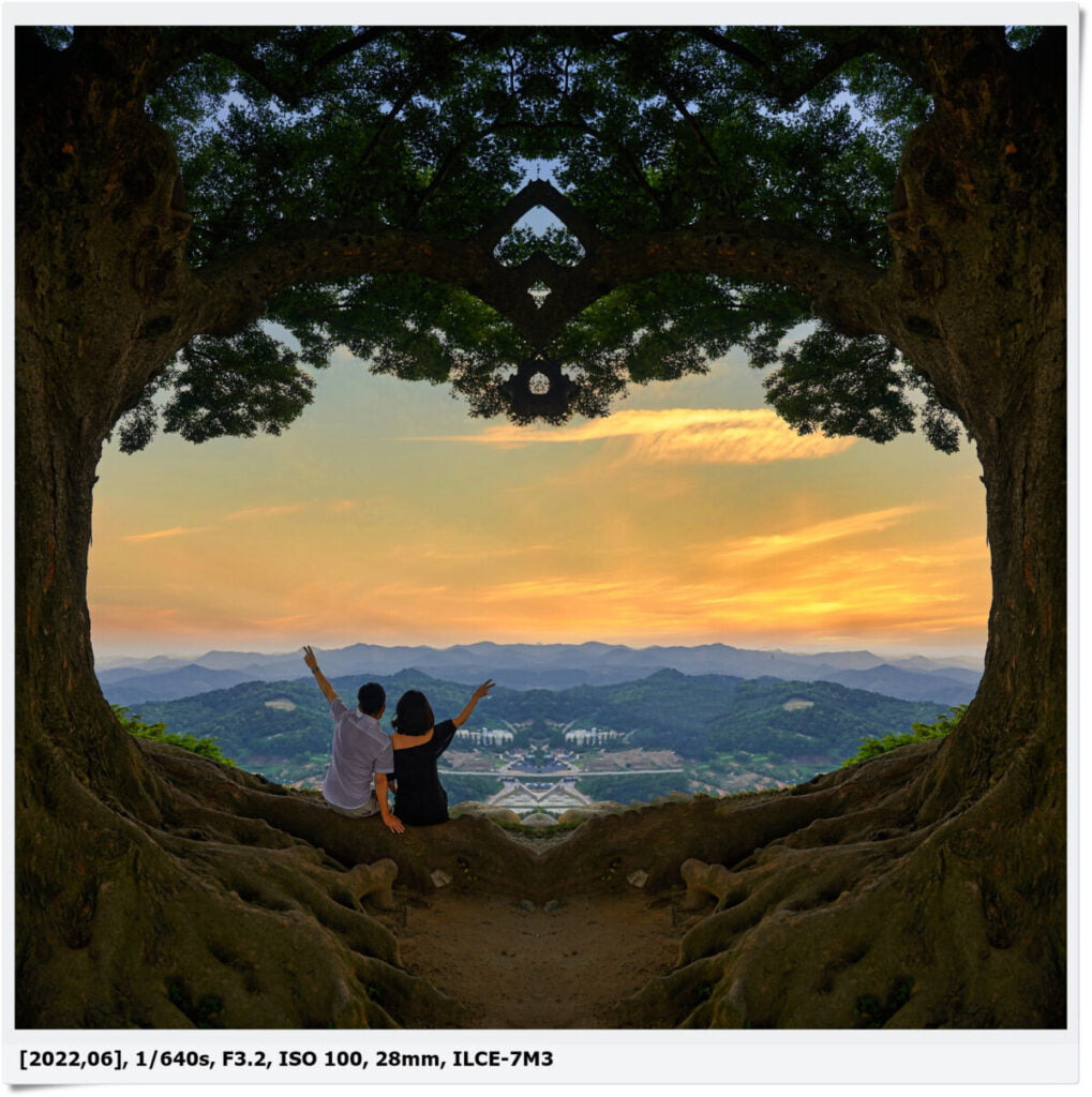 호텔 델루나 촬영지 부여 성흥산 사랑나무, 주차장 위치 및 찾아 가는 방법