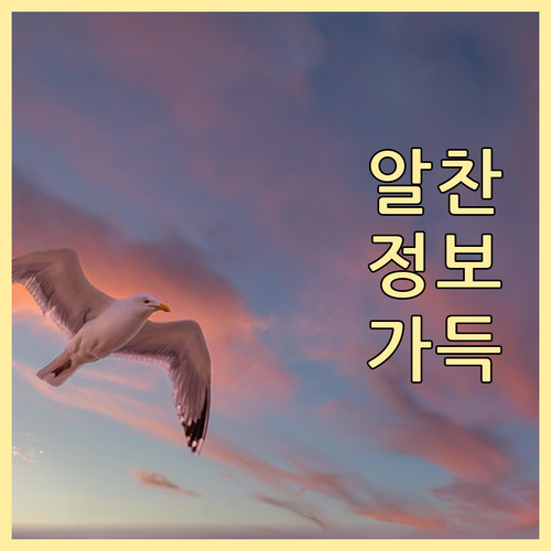 국민건강보험은 왜 안될까? 동물병원