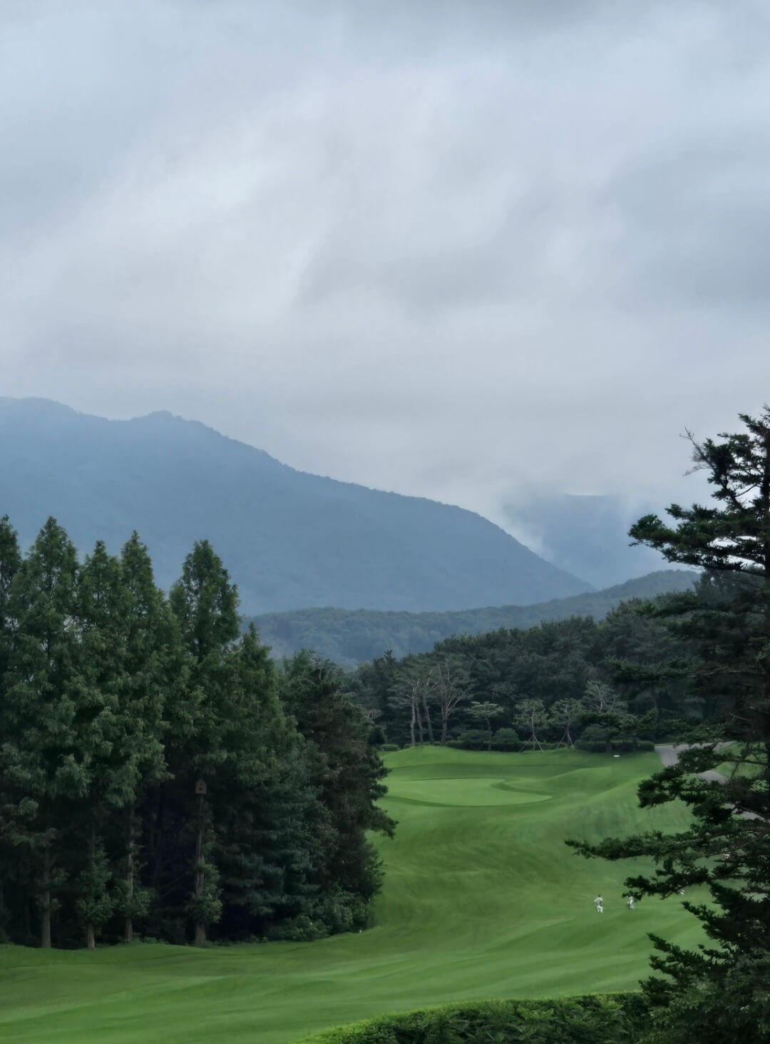 아시아나 CC 동코스 페어웨이