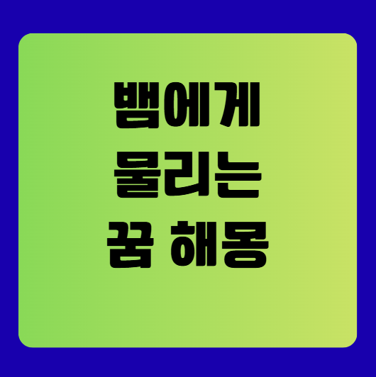 뱀에게 물리는 꿈 해몽