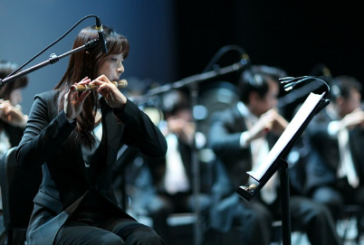 판소리의 세계, 판소리의 장르