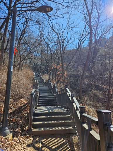 용마산 나무 데크길