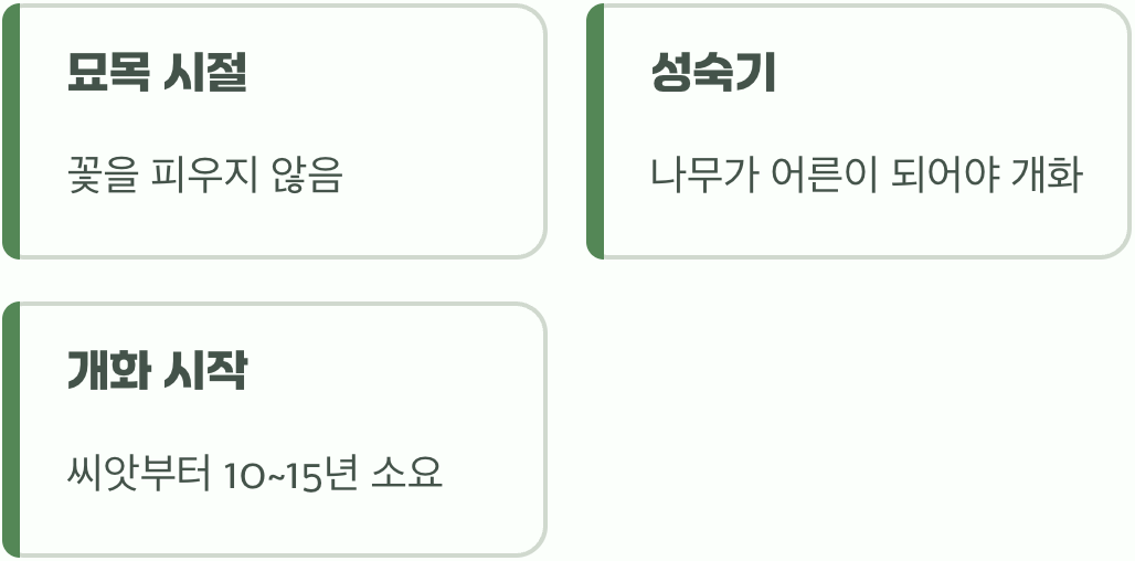 꽃을 보려면 필요한 '기다림의 미학'