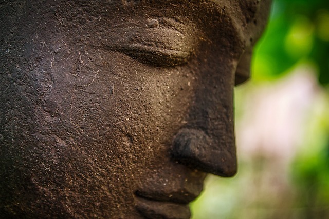 붓다 관련 사진