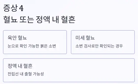 혈뇨 혈흔