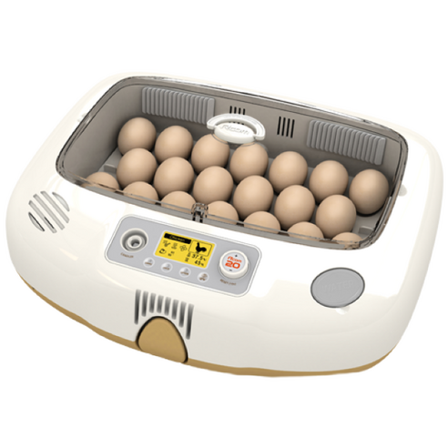 알콤 병아리 부화기 사용 후기 ❘ PRO 20 DO 자동부화기 솔직 리뷰