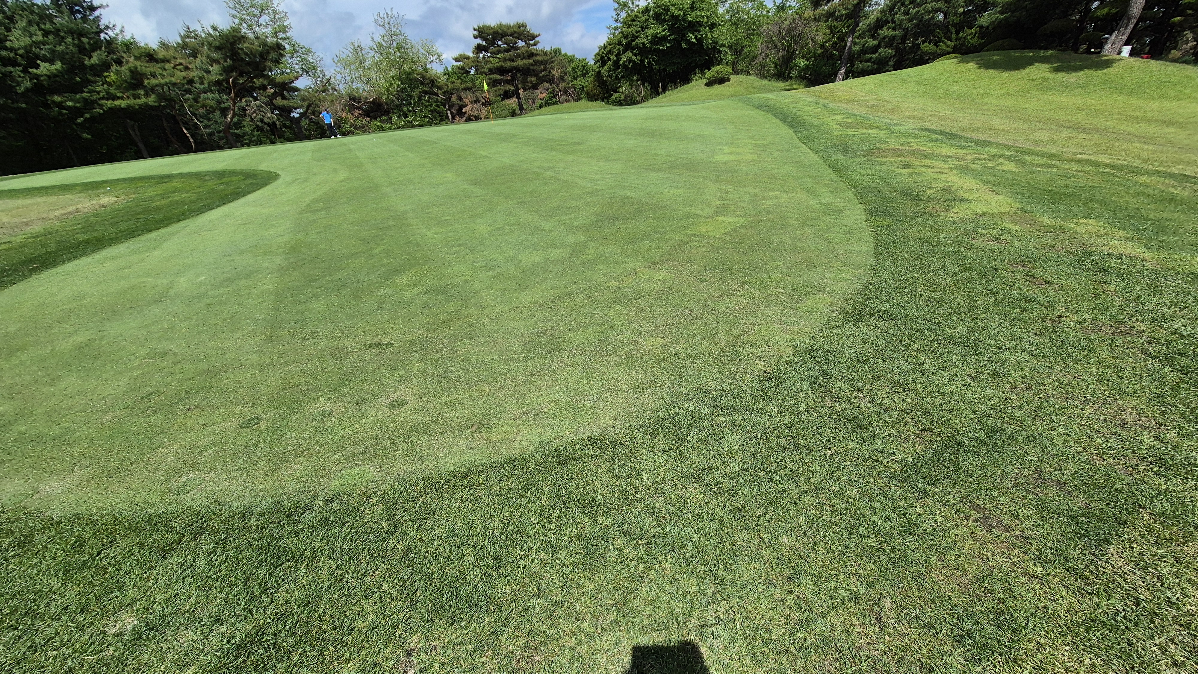 파크밸리gc 라운드 후기