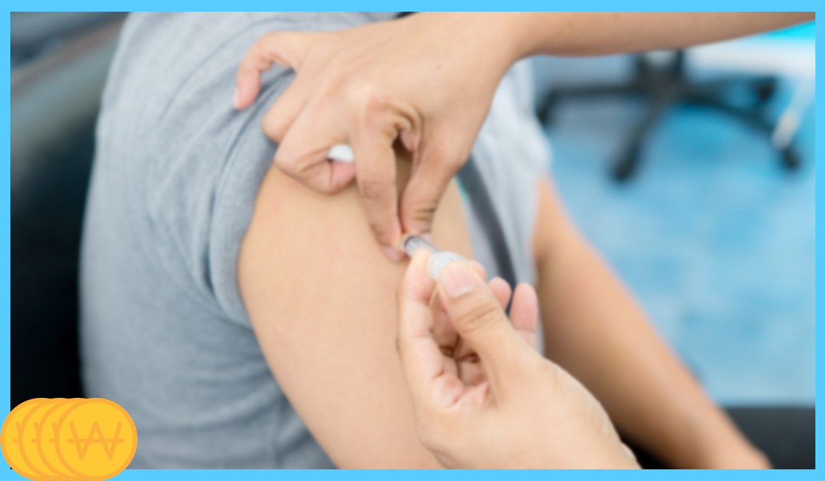 독감 예방접종 시기