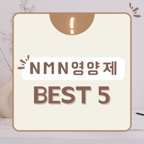 NMN 영양제 BEST 5 – 저속노화 인기 제품 추천