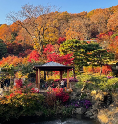 11월 단풍축제 가볼만한곳 BEST 10