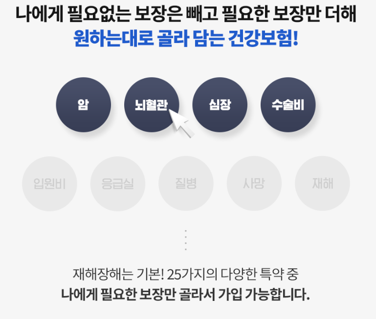 라이나생명 실손보험 소개