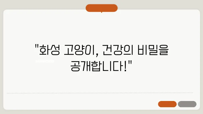 고양이를 위한 영양 관리의 모든 것