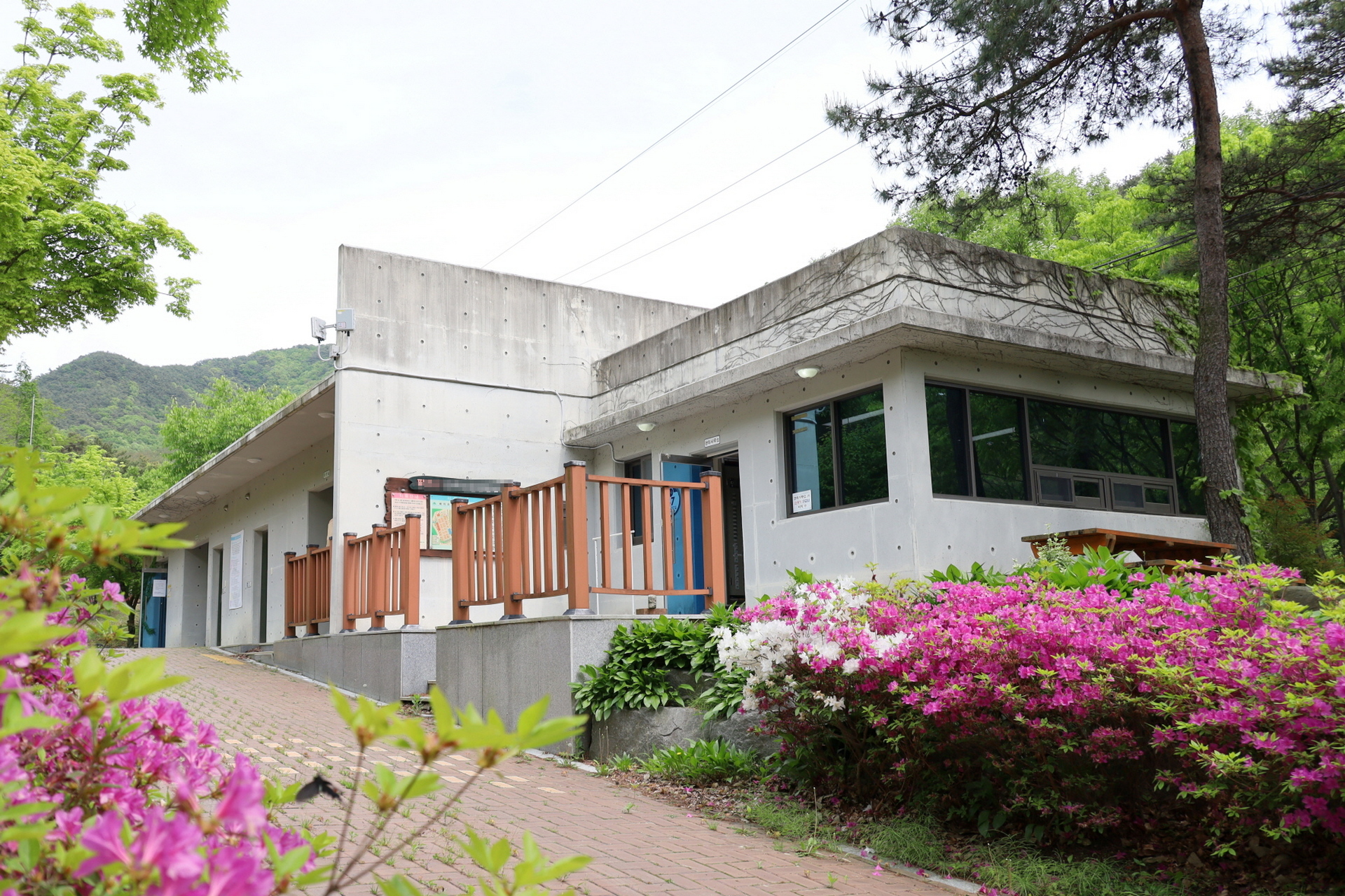 대구 팔공산 도학야영장 소개