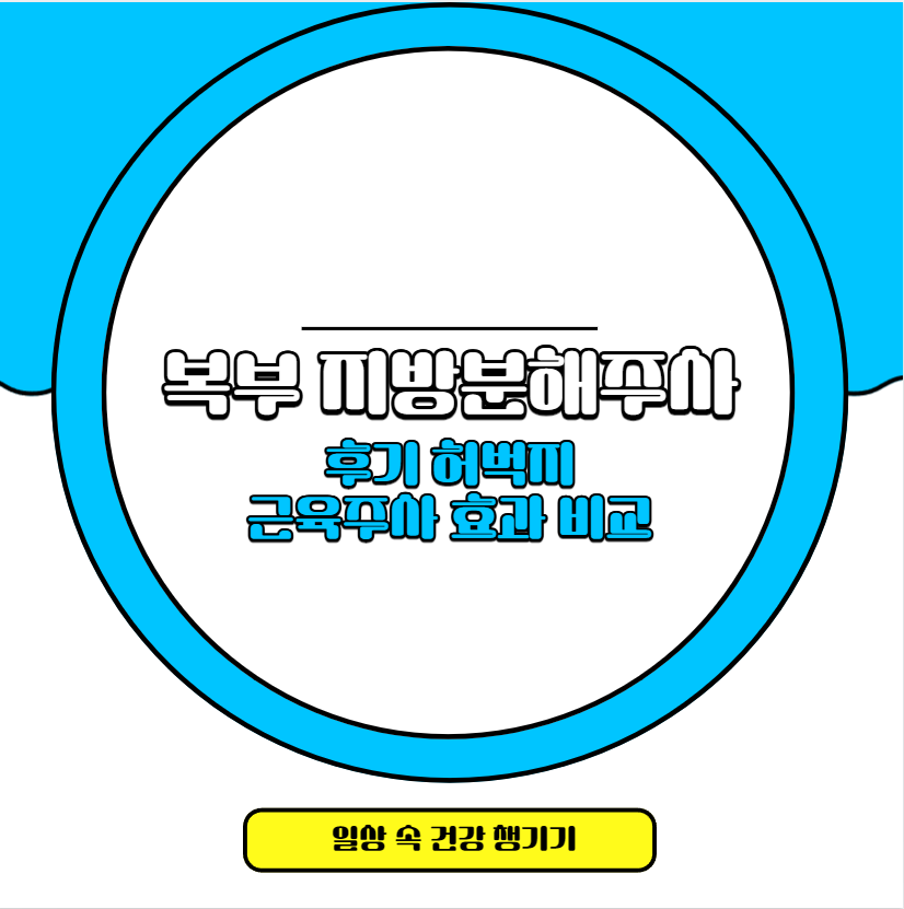 복부 지방분해주사 후기 허벅지 근육주사 효과 비교
