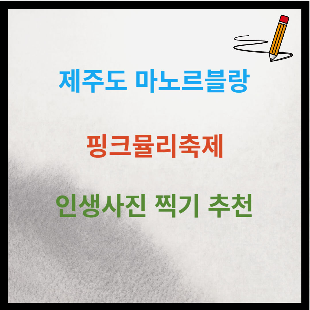 제주도 마노르블랑 핑크뮬리축제 인생사진 찍어봅시다.