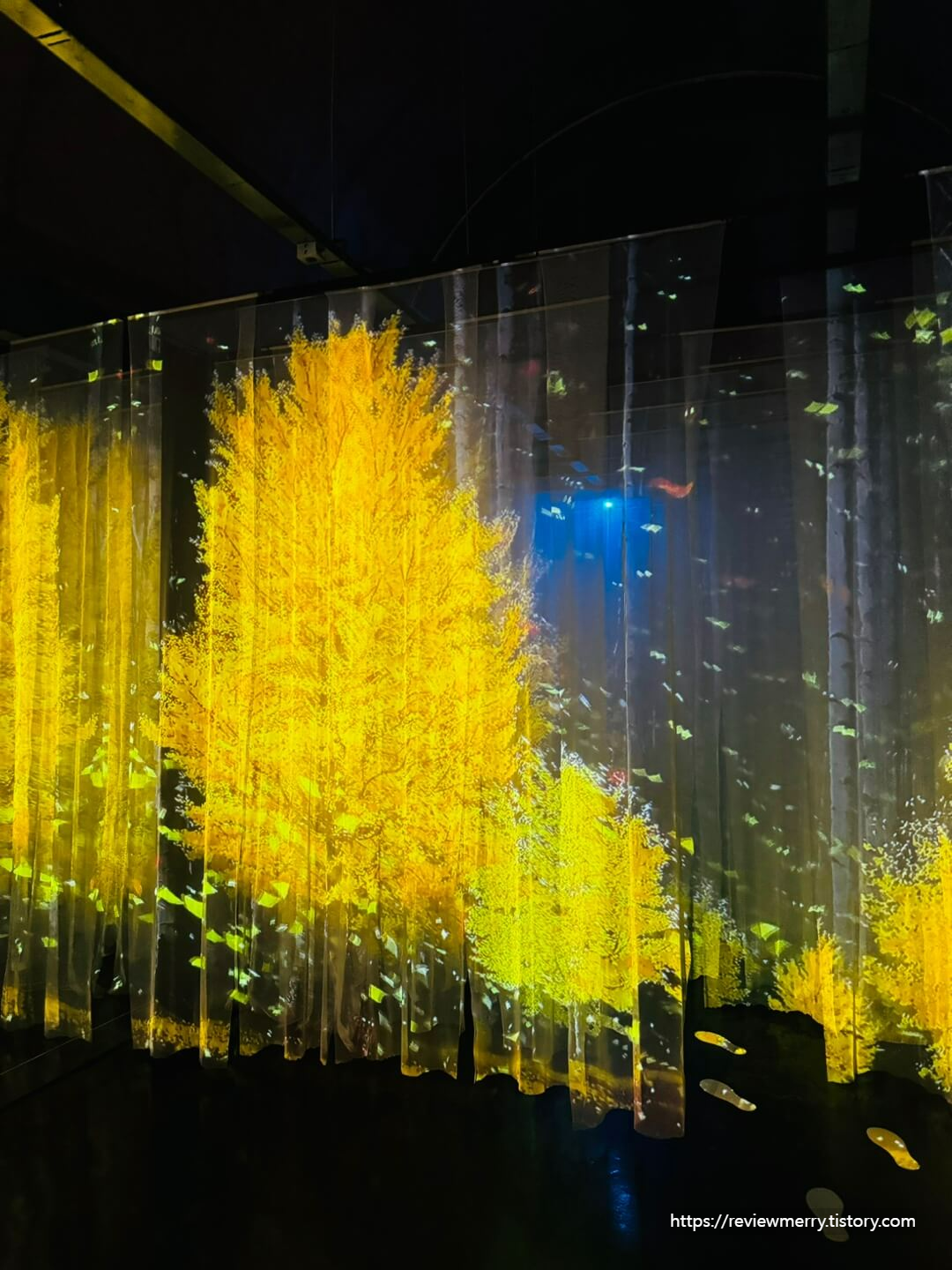 미디어 아트 사진