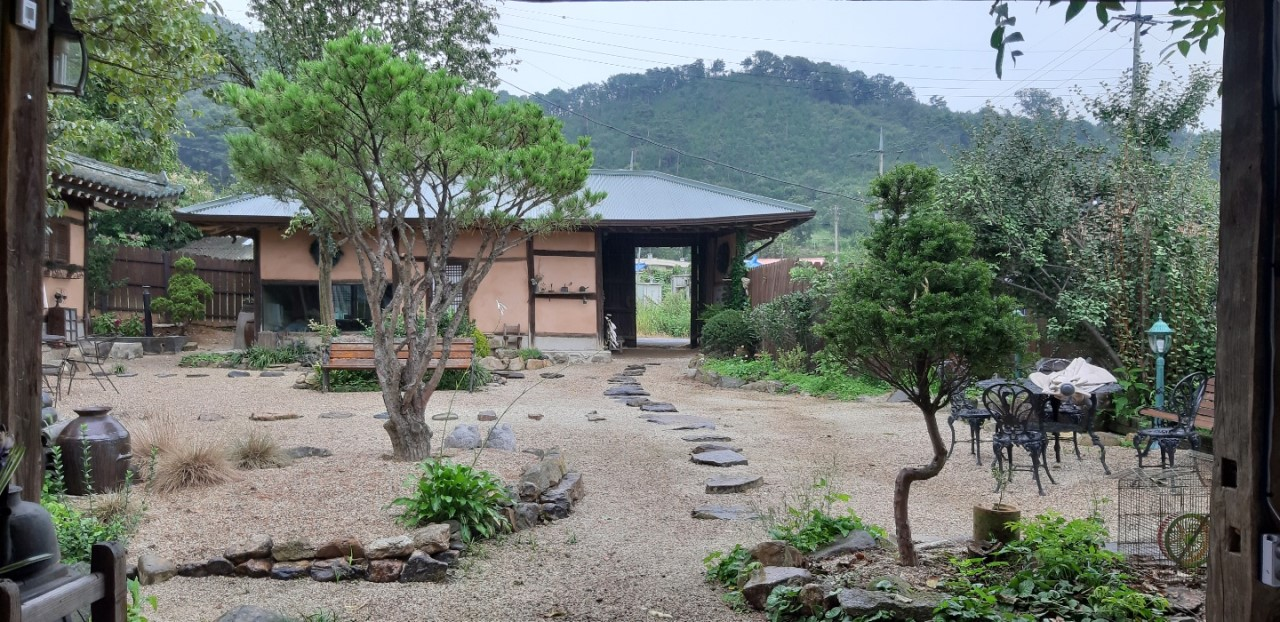 생생정보 내도 유경식당 거제도외포멸치 바람의제트보트 안나의화원