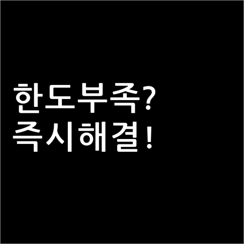 자동차세 연납 카드 한도 부족할 때 ..
