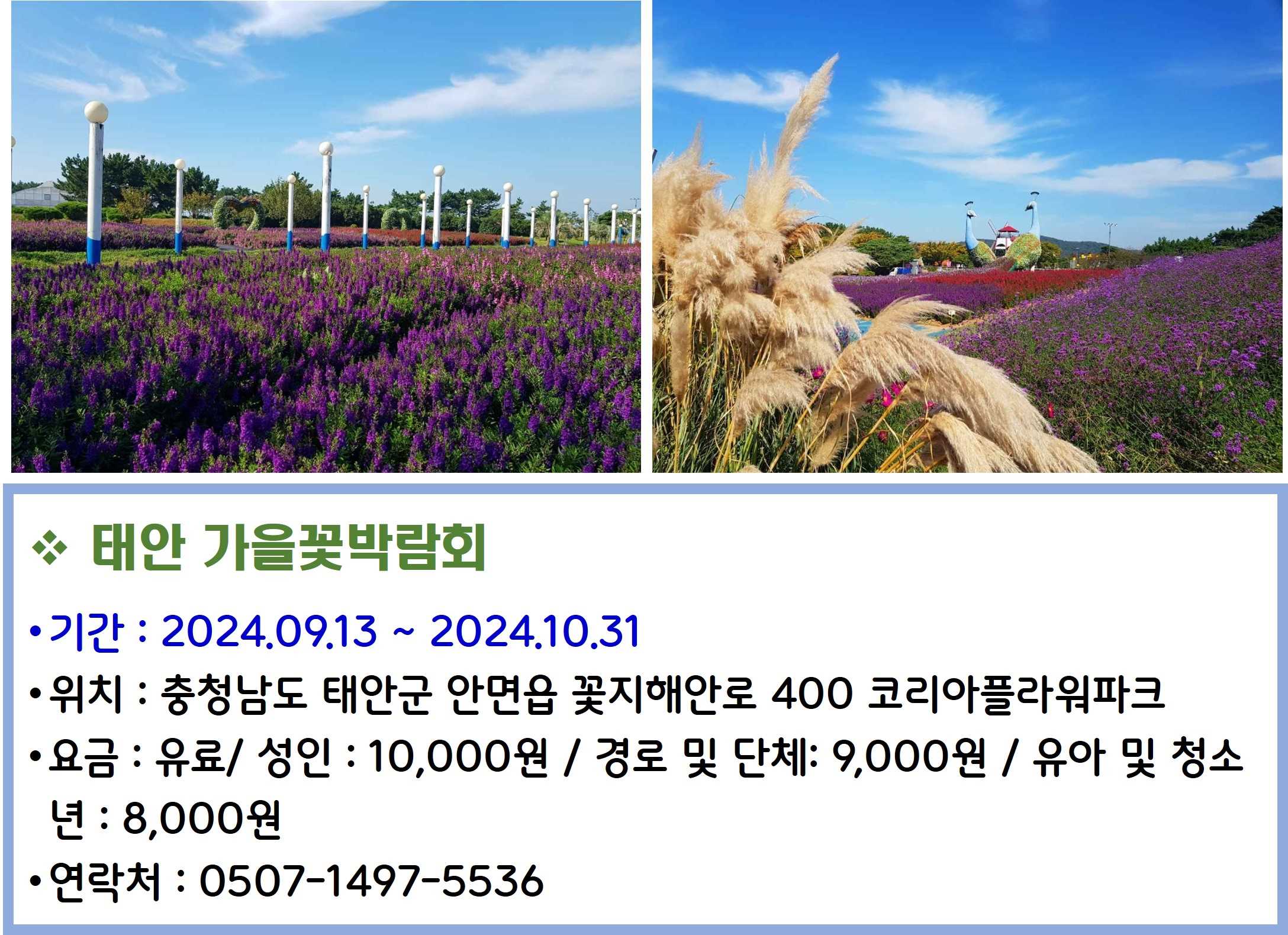 태안 가을꽃박람회