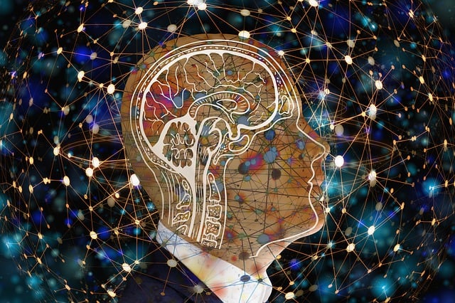 경계성 지능 장애란