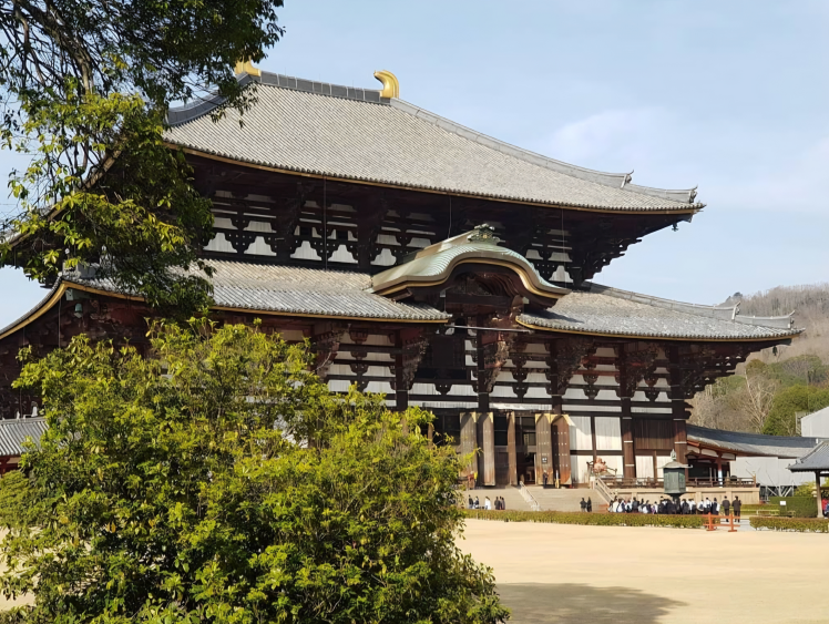 동대사 대불전 모습