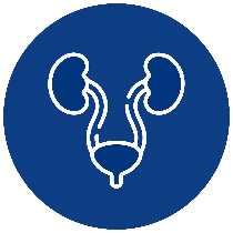 소변에피가나오는이유사진