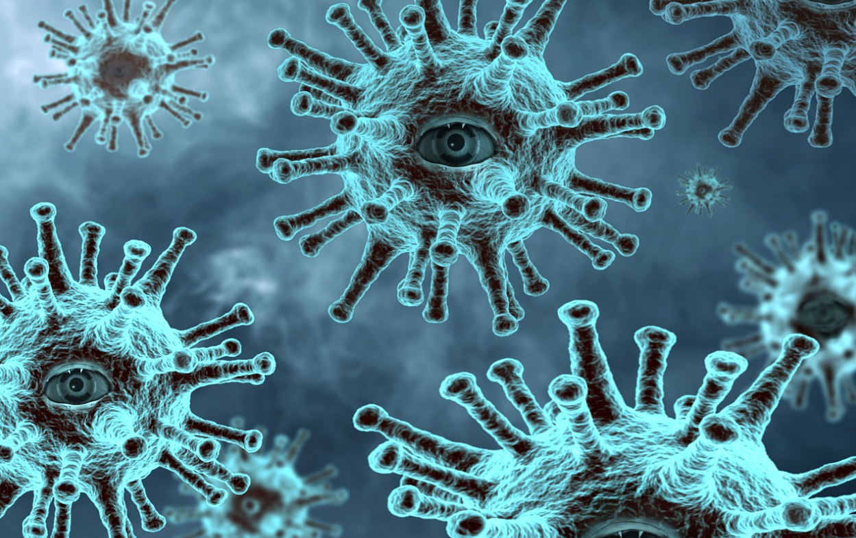 셀트리온주가-배당금