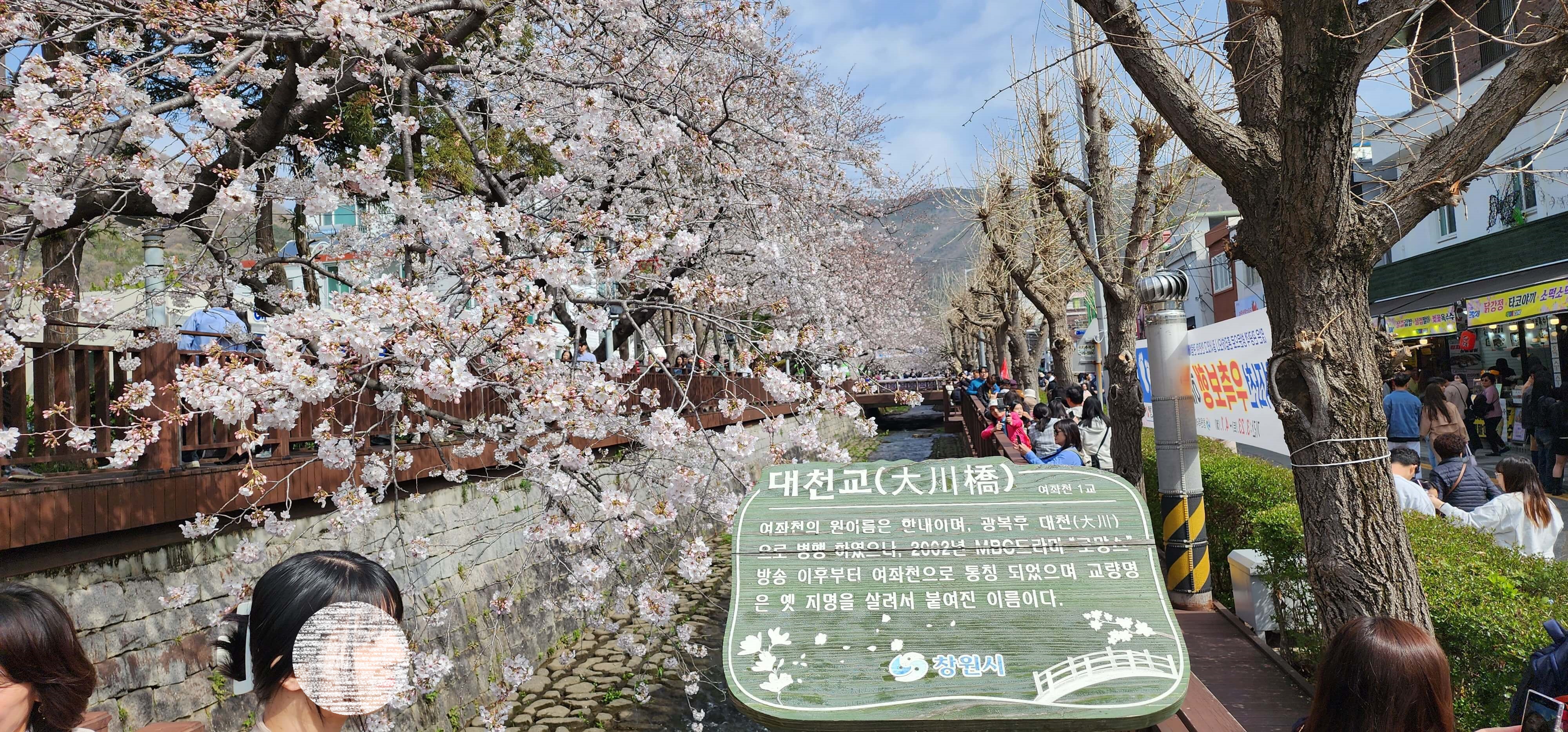 진해군항제벚꽃축제 주차장및행사일정11