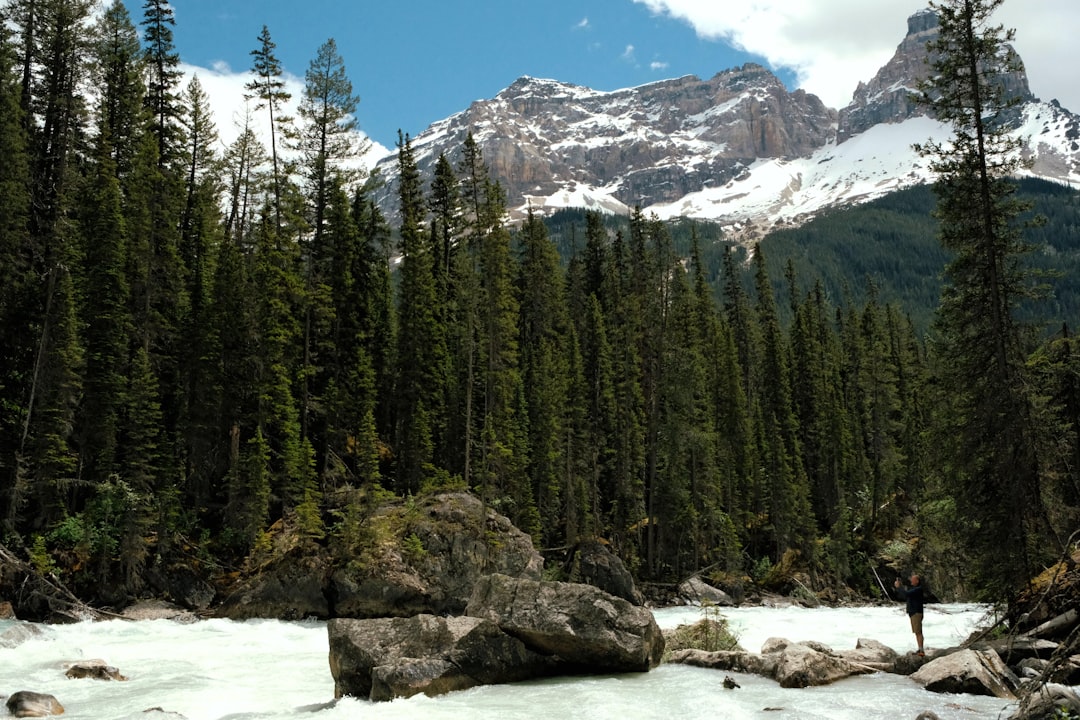 NFC (Near Field Communication)