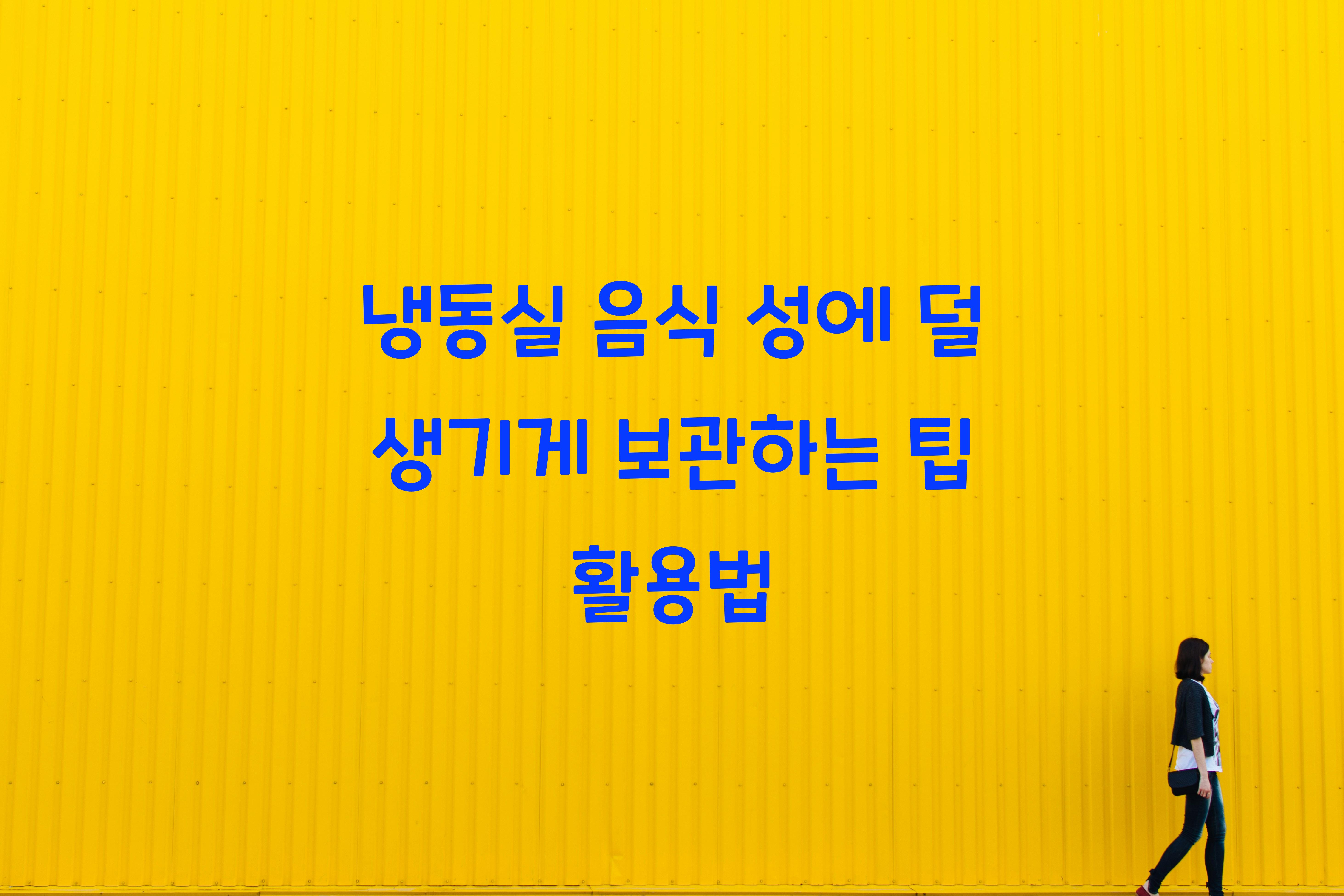 냉동실 음식 성에 덜 생기게 보관하는 팁