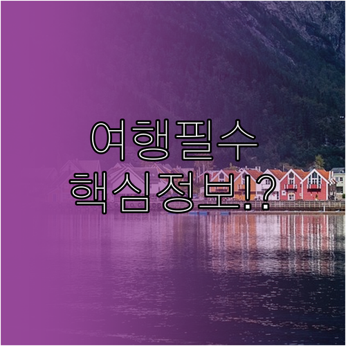 ESTA는 여행 허가, EVUS는 비..