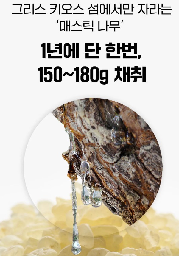 매스틱-유산균-효능-가격-4