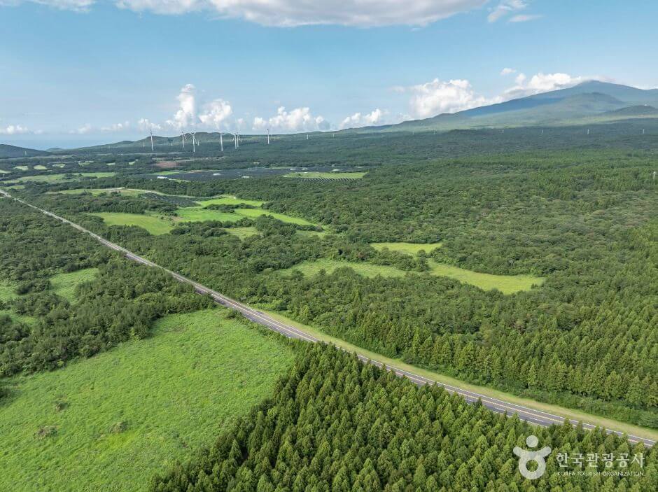 30대 혼자 가기 좋은 여행 추천 베스트 7