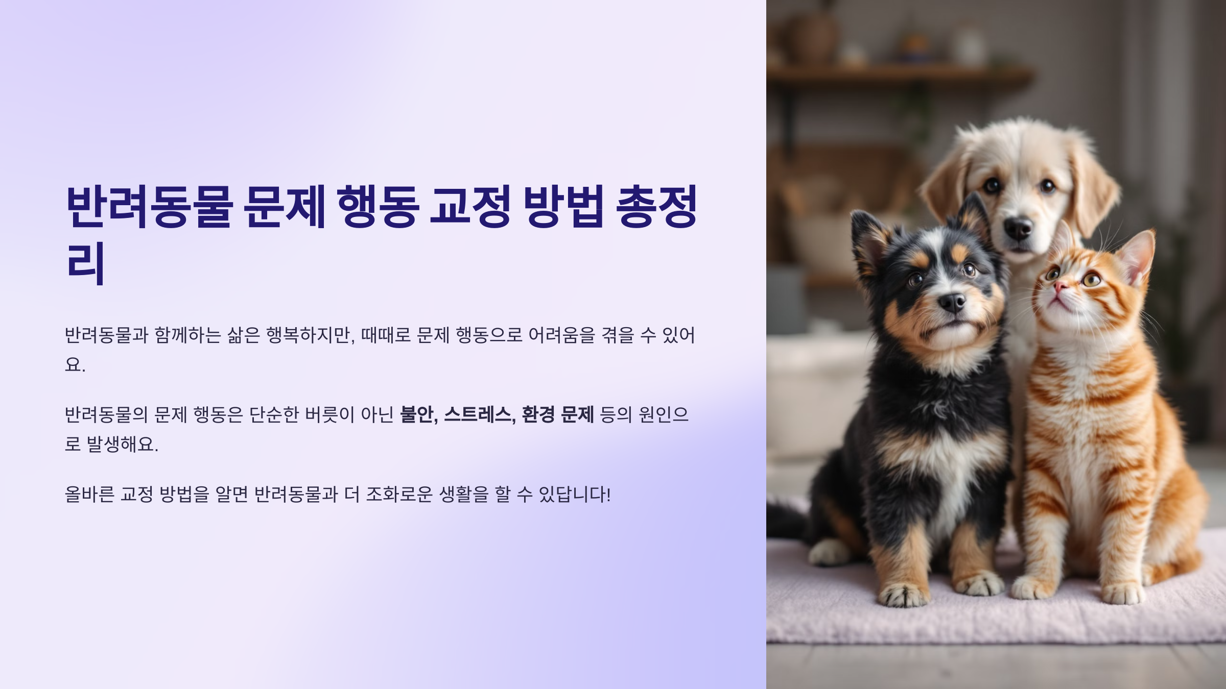 반려동물 문제 행동 교정 방법 총정리