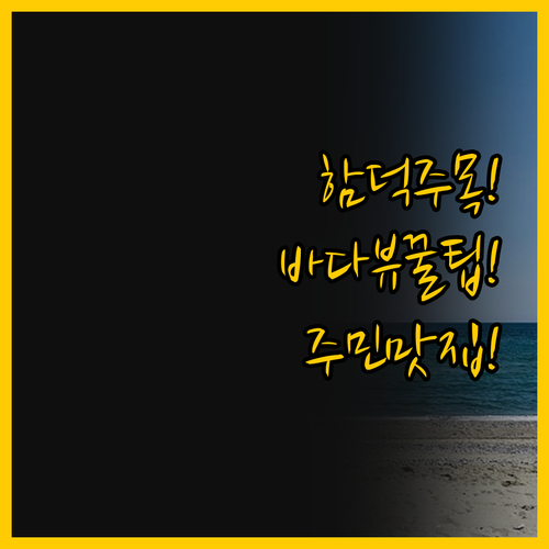 함덕 처음이라면 주목 바다 뷰 가성비..