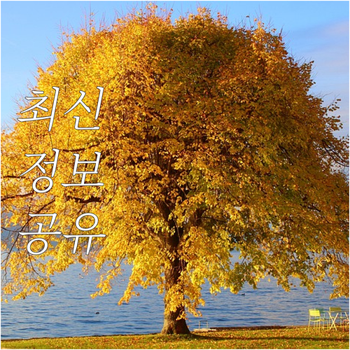 자동차 검사 방문 접수 완벽 정리: ..