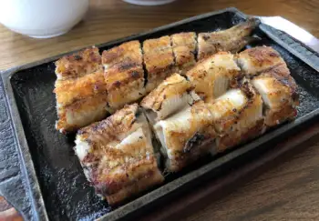 민물장어 가격 및 효능, 영양성분