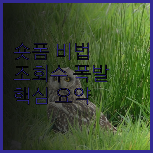 유튜브 숏폼 전문가가 알려주는 성공적