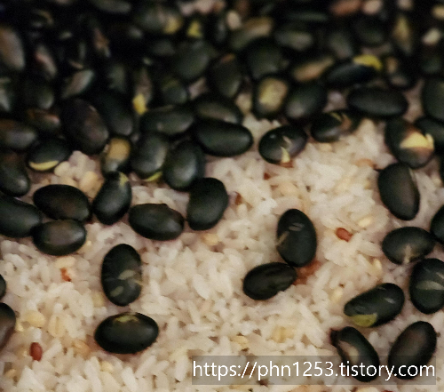 Alt 속성 문제 해결 설명 이미지