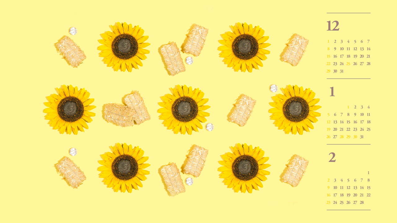 05 7개의 해바라기 B - 2025년1월 노트북배경화면